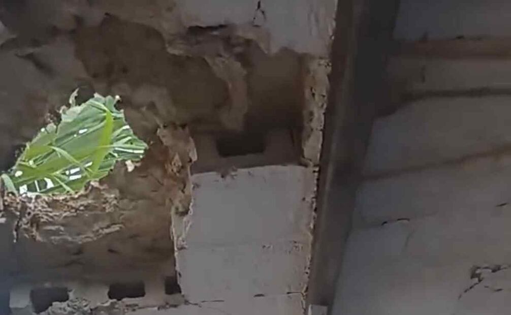 "Es urgente que los techos sean reparados antes de que inicie el próximo ciclo escolar", enfatizó la directora. Foto: Especial