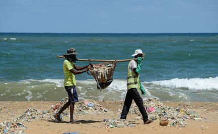 Actualmente solo el 5% de la superficie de los océanos está protegida: Philippe Cousteau