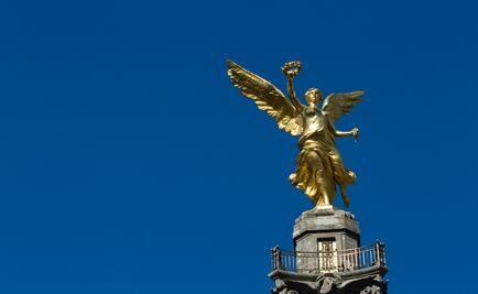 De “pata de perro” por el DF