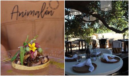 El pop up Animalón en Valle de Guadalupe