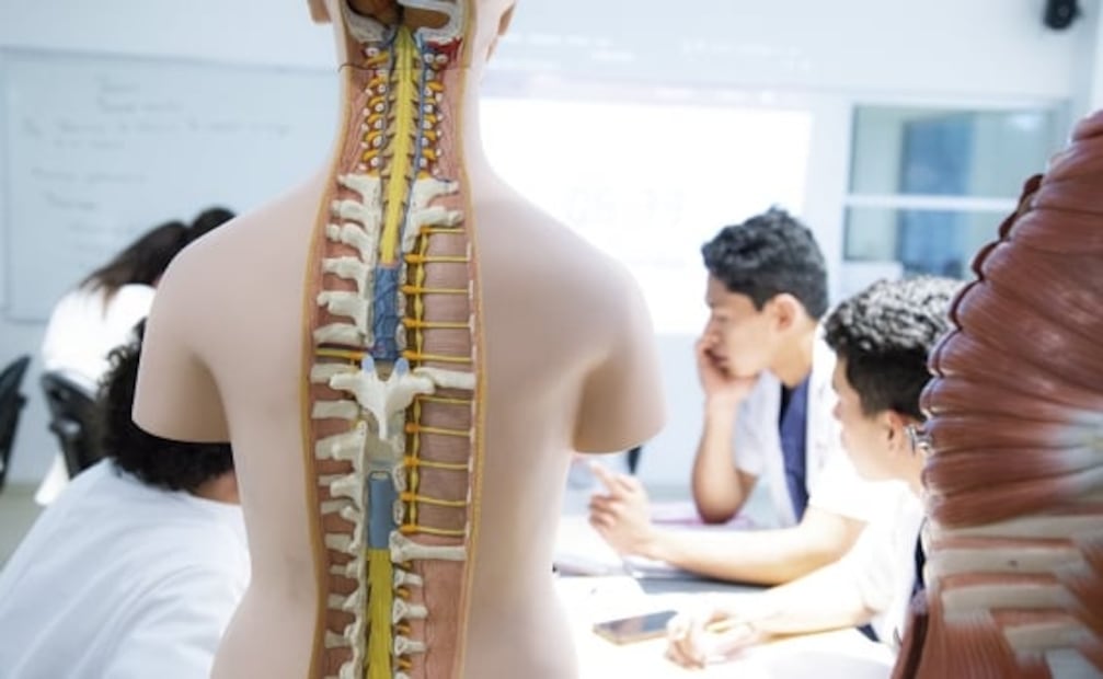 ¿Cómo elegir la mejor escuela de Ciencias de la Salud?