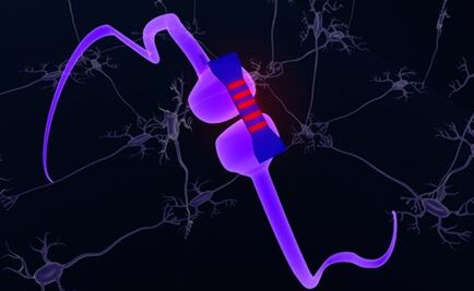 Científicos crean chips que emulan al cerebro