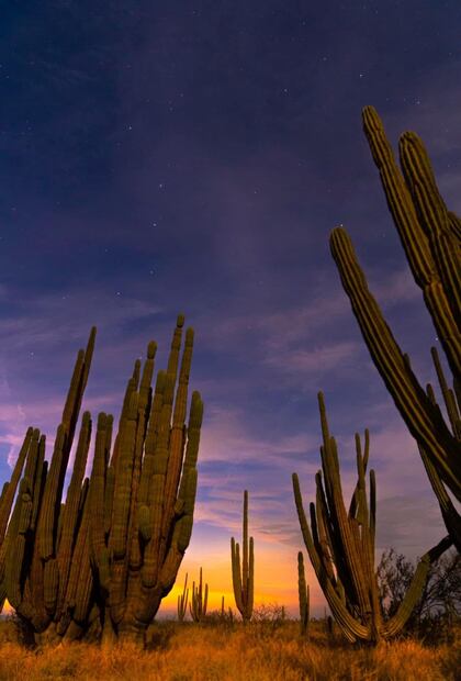 Foto: Sectur México