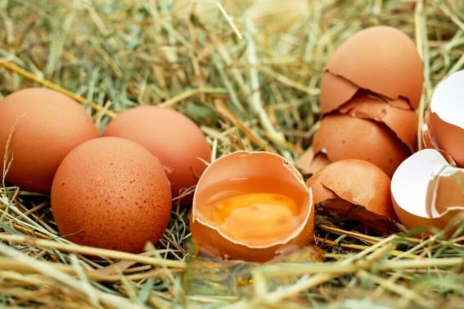 Por qué no se deben lavar los huevos