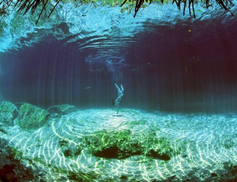 Panchito, el cocodrilo que nada con turistas en un cenote de Tulum