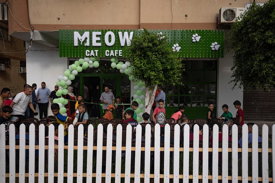Palestinos se reúnen para la inauguración de Meow Cafe en la ciudad de Gaza.  Foto: Fatima Shbair. AP