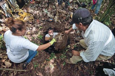 La CEAV revisará a forenses del país