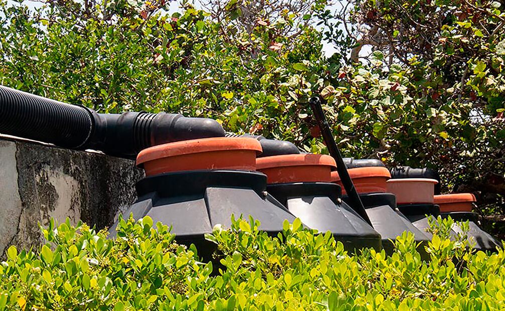 Foto: Cortesía SimiPlaneta