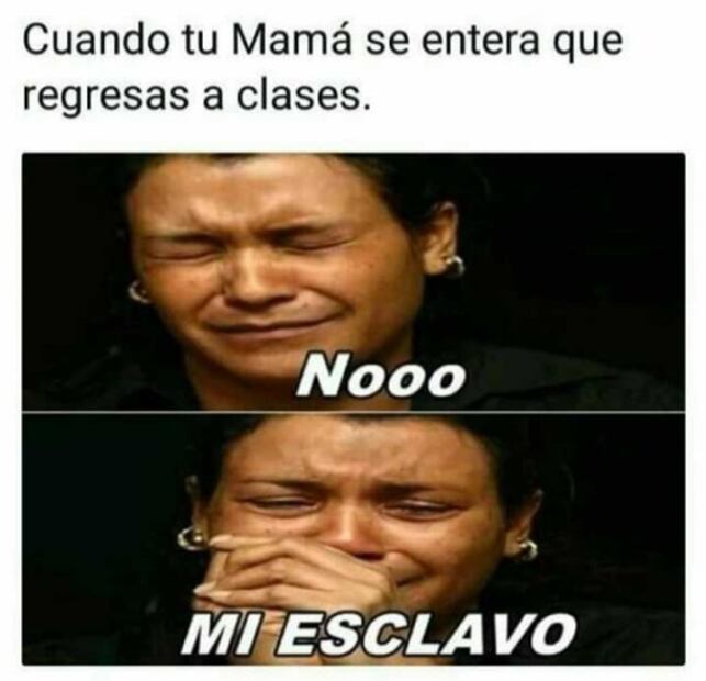 Regreso a clases y... llegan los memes