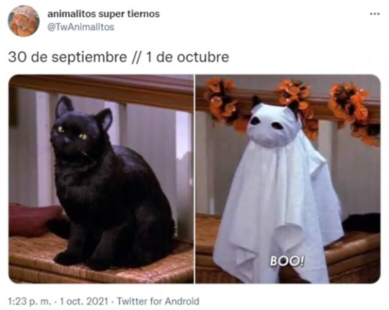 La consumación de la Independencia, Ricky Martin y las sopas Maruchan entre los memes de la semana