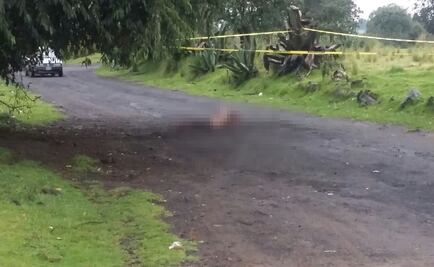 Fauna carcome cadáver en Xalatlaco, Edomex 