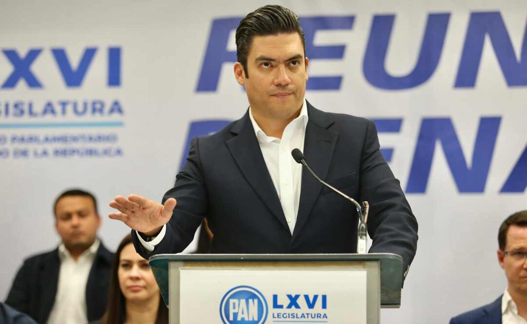 Jorge Romero Herrera, presidente del PAN. Foto: Especial