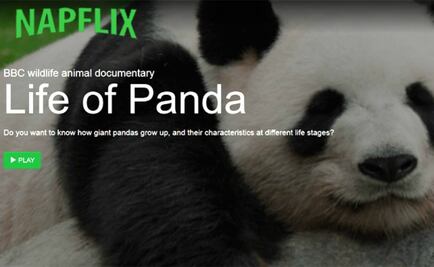 Napflix, el sitio de videos aburridos que ayuda a dormir