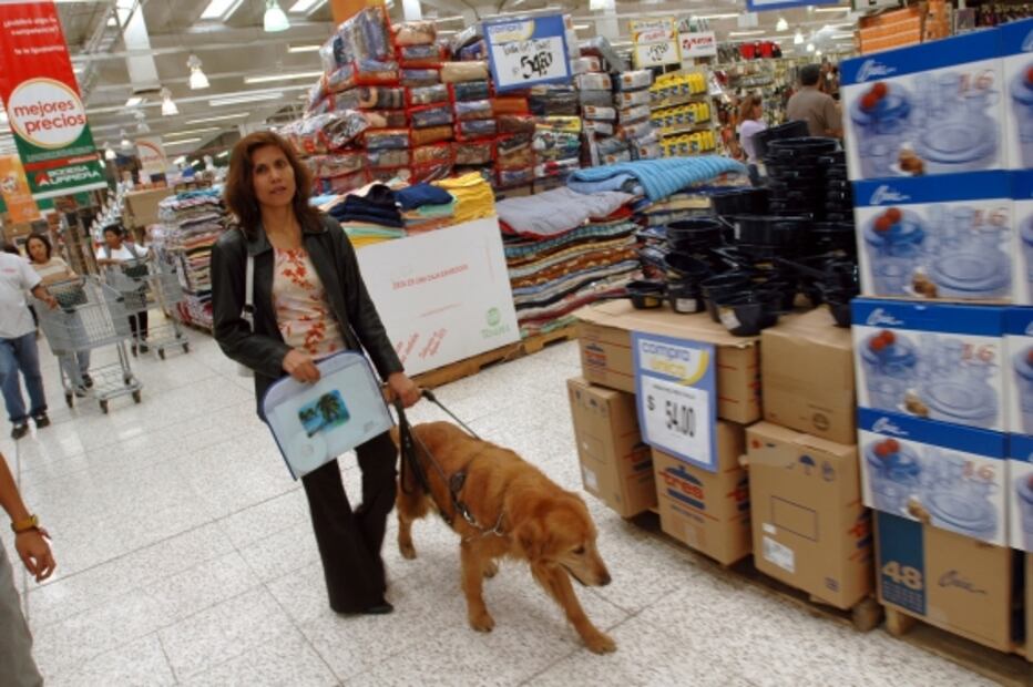 Los primeros perros lazarillos