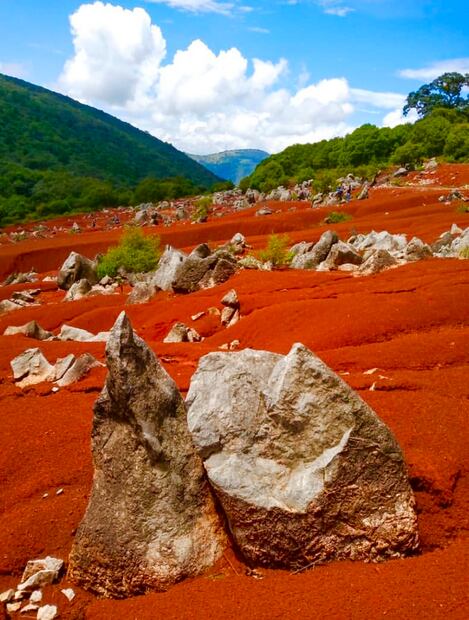 Foto: Instagram @wabi88