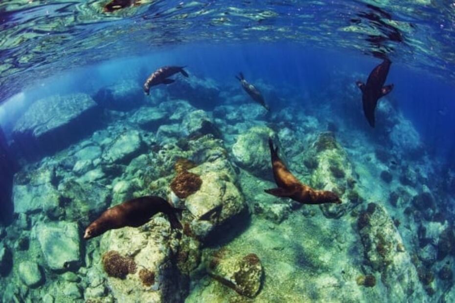 Actividades y maravillas naturales para amar La Paz, en Baja California Sur