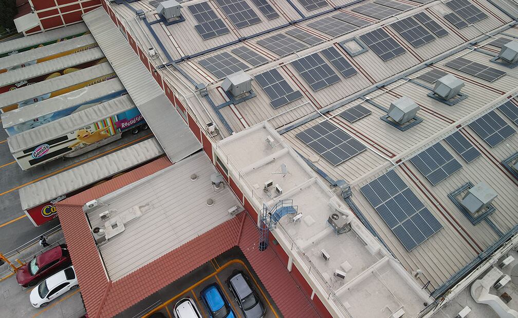 Esfuerzo de Grupo Bimbo por mitigar el cambio climático a nivel global. Foto: iStock