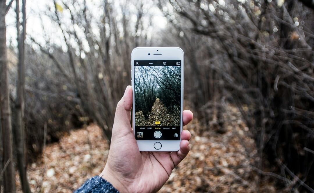 Fotografías con celular. Imagen: Unsplash