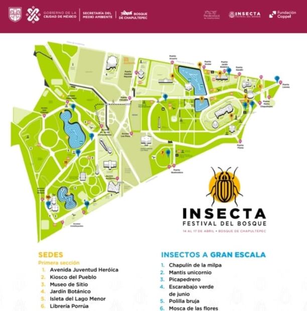 Insecta en Chapultepec: mapa y guía de actividades gratis en el festival de los insectos