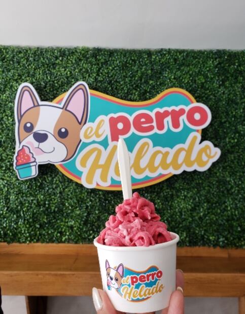 Guadalajara pet-friendly: hoteles y restaurantes para viajar con tu perro
