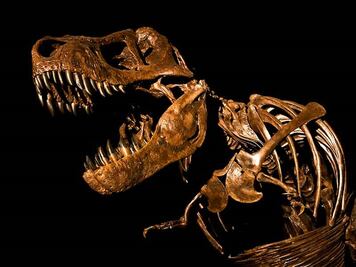 No te pierdas la expo de dinosaurios en el Parque Bicentenario