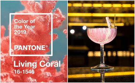 Bébete el Pantone del 2019: Living Coral