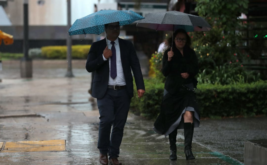 Foto: Archivo/EL UNIVERSAL