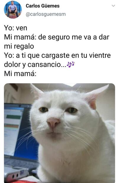 Meme respecto al Día de las Madres. Foto: Twitter