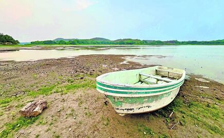 Lagunas de Veracruz, en riesgo de desaparecer