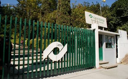 Conalep estrena carreras en Inteligencia Artificial y Producción Petrolera