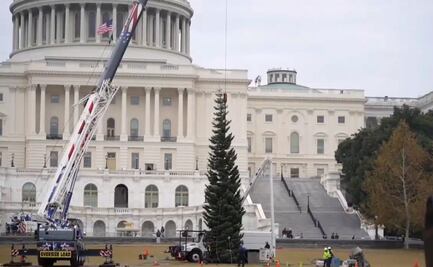 ¡It´s time! Llega el árbol de Navidad al Capitolio de Estados Unidos