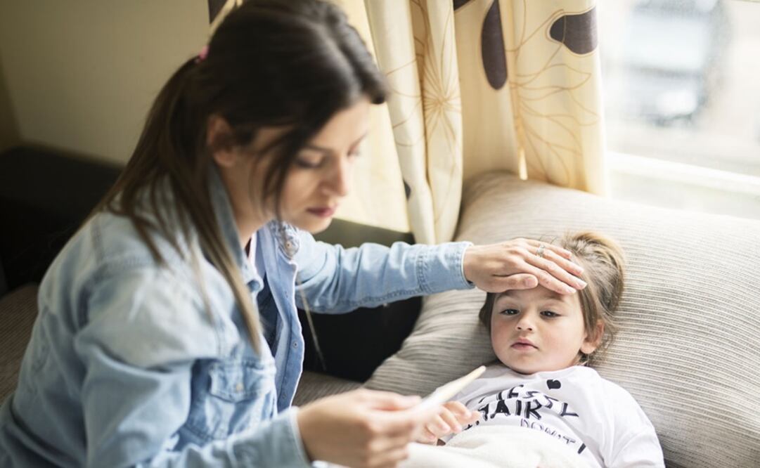 Imagen ilustrativa. Foto: Archivo/EL UNIVERSAL