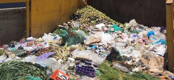 Mexico wastes more than 20.4 million tons of food each year