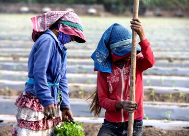 Proyecto de presupuesto 2024 “olvida a los campesinos más pobres”: Rubén Moreira
