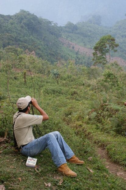 Pajarear, la actividad de antaño para proteger a las aves