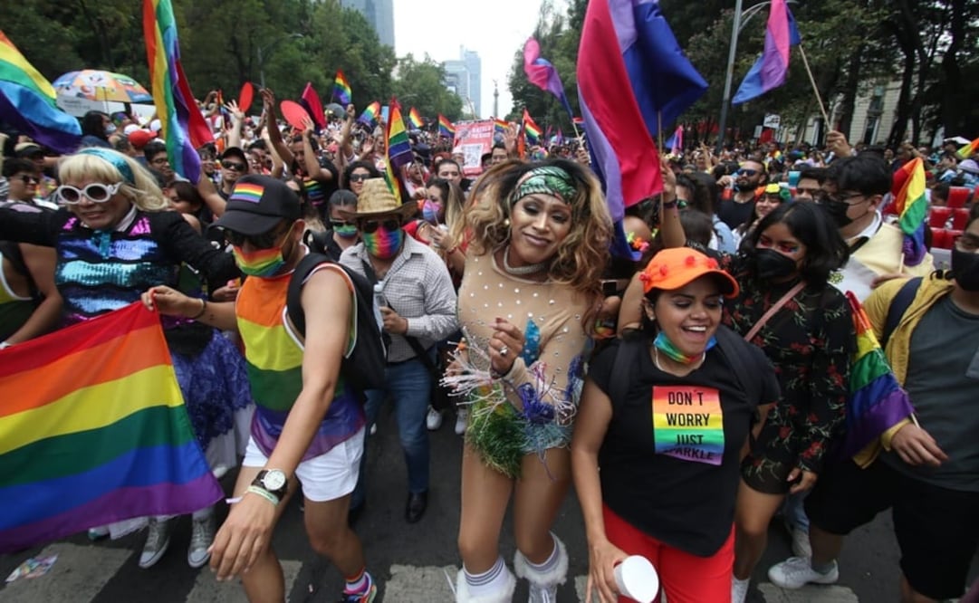 La organización de la Marcha por el Orgullo LGBT+ de este año contempla la subdivisión del contingente en 13 grupos diferentes. Foto: Carlos Mejía/EL UNIVERSAL