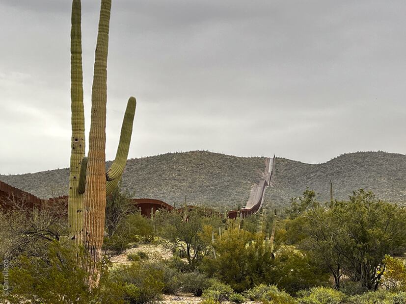 Paisaje en el que se observa un terreno árido con arbustos y una montaña al fondo. El terreno está dividido por un muro color café. En primer plano se observa un enorme cactus. Foto: Iván Carrillo