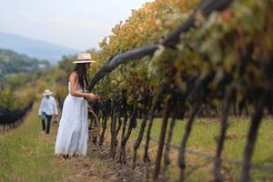 Esta es la mejor bodega de vino en México