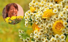 ¿Qué día se entregan las flores amarillas?; guía completa sobre el origen y su significado