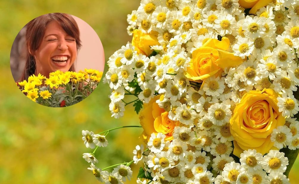 El color amarillo significa alegría, renovación, originalidad, diversión, optimismo, capaz de revitalizar el espíritu. Fotos: Redes Sociales / Unsplash