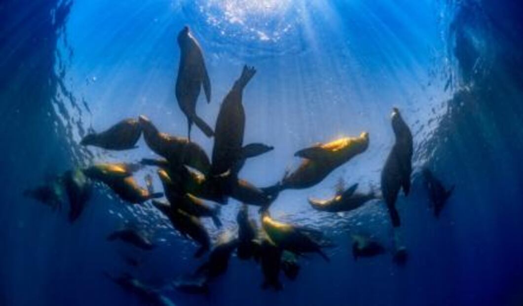 Viaja a las islas de las tortugas gigantes