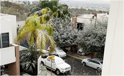 Queda pendiente la carga de uso industrial tras apagones: Cenace y Sener