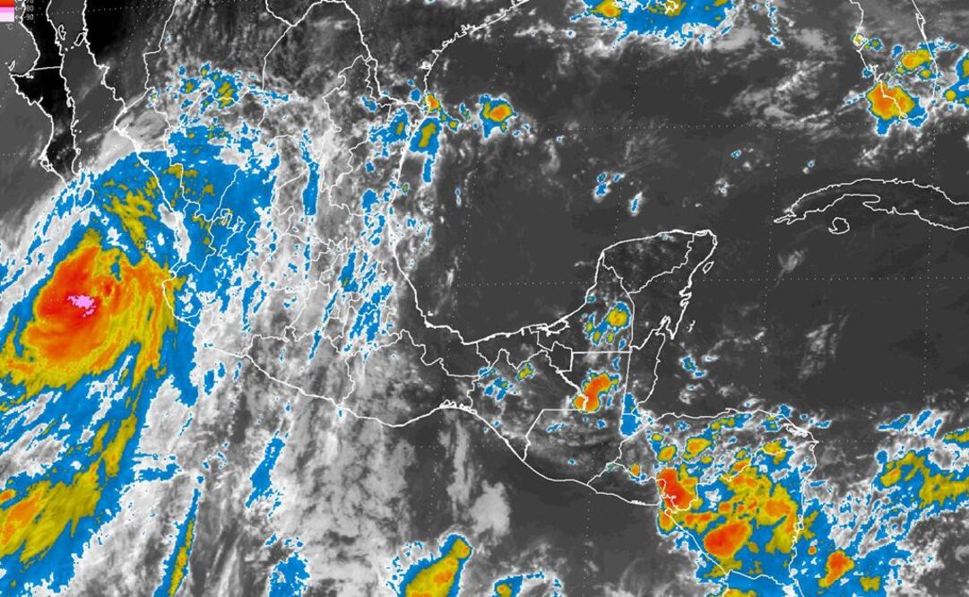 Afecta "Newton" a 142 mil usuarios de CFE