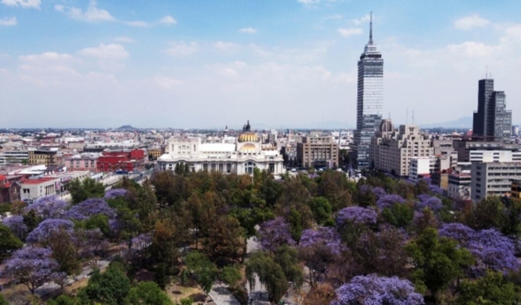5 experiencias inmersivas en CDMX, abiertas al público