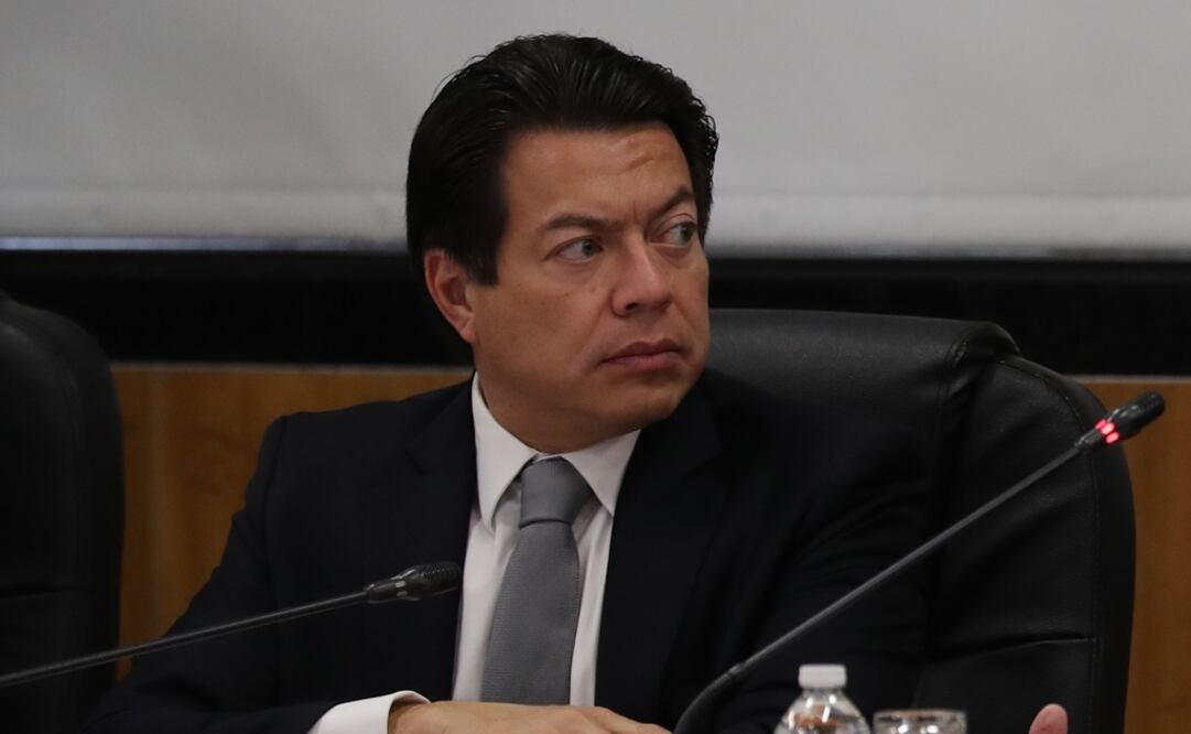 Coordinador del grupo parlamentario de Morena, Mario Delgado Carrillo. Foto: Juan Carlos Reyes / EL UNIVERSAL