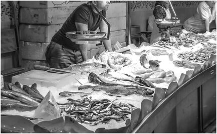 Para esta Cuaresma: Estos son los pescados más baratos y los más caros, según Profeco