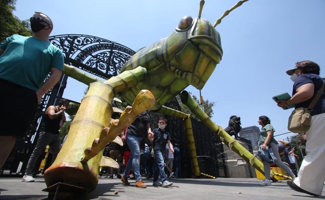 Uno de los principales atractivos es el Chapulín de la Milpa. Foto: Carlos Mejía / EL UNIVERSAL 
