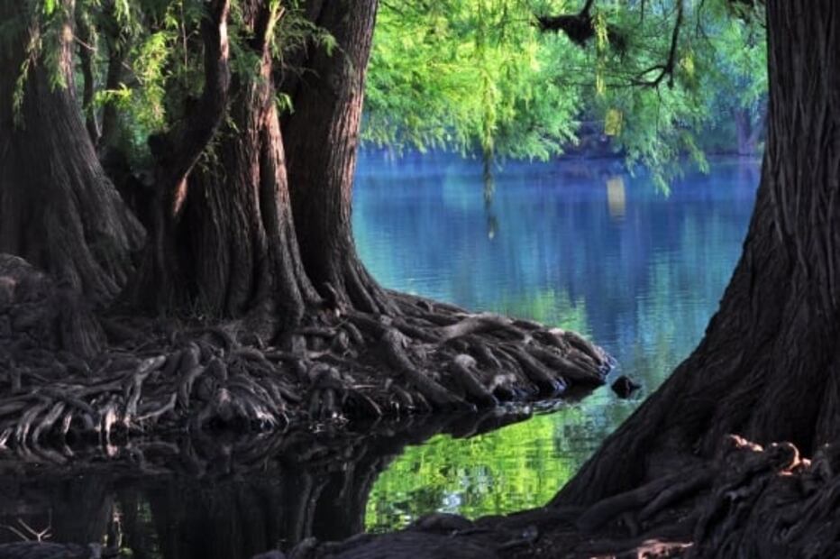 Los 10 lugares más aterradores en México. ¿Te animas a ir?