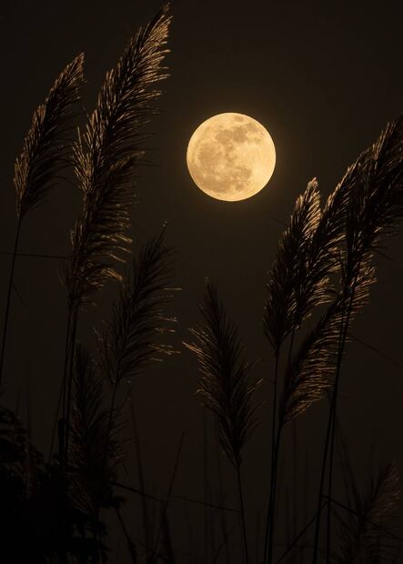 Foto: Unsplash