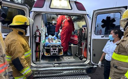 Víbora de cascabel muerde en la mano a un hombre de 35 años en Los Reyes La Paz